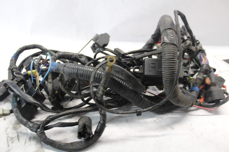 T2501944 HARNESS, MAIN 2005 TRIUMPH SPRINT