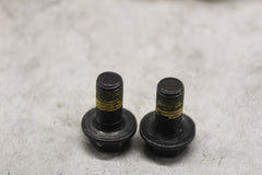 250001134 FRONT CALIPER SCREW 2PCS 2023 CAN AM RYKER SPORT 900 ACE