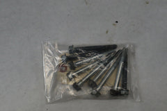 OEM Harley Davidson Crankcase Screw Bolts 895