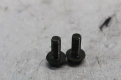 FRONT MOUNT PLATE BOLT 2PCS 01550-08203 2001 SUZUKI SV650S