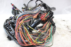 70245-06 ROAD KING MAIN WIRING HARNESS EFI HARLEY DAVIDSON