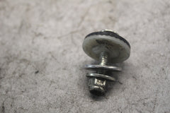 c99b55f1-957d-4430-84d0-81f15bb9e61a