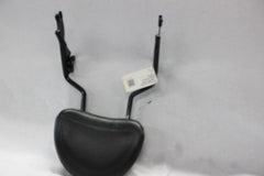 Passenger Sissy Bar w/Backrest 2009+ Harley Davidson Touring
