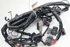 70245-02 ROAD KING Main Wire Harness HARLEY DAVIDSON