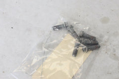 OEM Victory REAR Brake Disk Rotor Bolts Screws 7521014