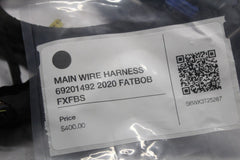 MAIN WIRE HARNESS 69201492 2020 FATBOB FXFBS