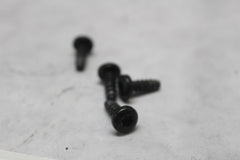 SPEAKER MOUNTING SCREW 4PCS 3152 2022 RG SPECIAL