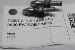 POST 2PCS 12600190 2020 FATBOB FXFBS