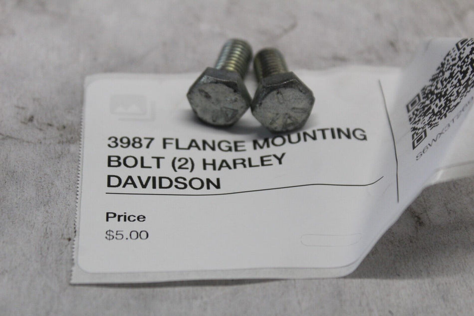 3987 FLANGE MOUNTING BOLT (2) HARLEY DAVIDSON