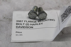 3987 FLANGE MOUNTING BOLT (2) HARLEY DAVIDSON