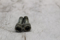 LOCKPLATE SCREW 2PCS 3594 1994 ULTRA CLASSIC
