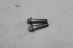 Front brake caliper screws (2) 44160-00 Harley Davidson