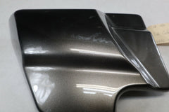 OEM Harley Davidson LEFT Side Cover Metallic Gray 66250-09