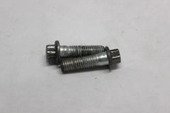 Front Caliper Bolts (2) 44160-00 Harley Davidson