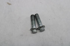 Front brake caliper screws (2) 44160-00 Harley Davidson