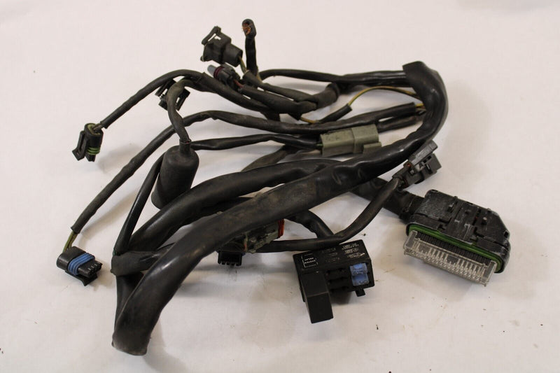 E.F.I EFI Wiring Harness 70233-02 Harley Davidson