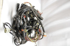 Main Wiring Harness 69200300 Harley Davidson