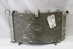 Suzuki Motorcycle Radiator 17710-24F10