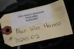 OEM Harley Davidson Main Wire Harness 2002 Road King 70245-02