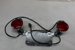 License Plate Turn Signal Combo 2009 Harley Davidson Ultra Blk/Sil