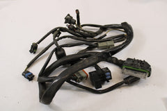 E.F.I EFI Wiring Harness 70233-02 Harley Davidson