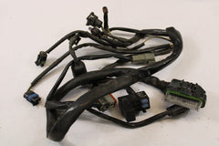 E.F.I EFI Wiring Harness 70233-02 Harley Davidson