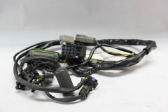 EFI Wiring Harness #70233-04 2009 Harley Davidson FLHTCU