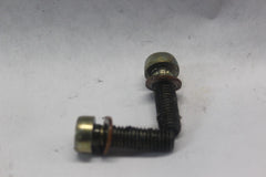 Fork Damper Tube Screws (2) Harley Davidson 45405-75A