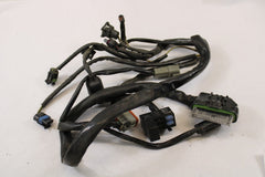 E.F.I EFI Wiring Harness 70233-02 Harley Davidson