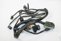 E.F.I EFI Wiring Harness 70233-02 Harley Davidson