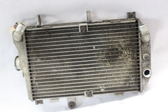 RADIATOR W/GUARD 17710-10G00, 17750-10G00 2006 BURGMAN AN650K6