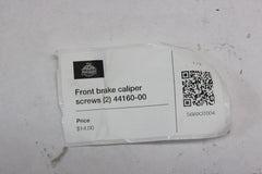 Front Caliper Bolts (2) 44160-00 Harley Davidson