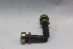 Fork Damper Tube Screws (2) Harley Davidson 45405-75A