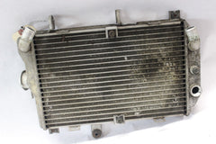 RADIATOR W/GUARD 17710-10G00, 17750-10G00 2006 BURGMAN AN650K6