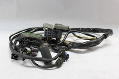 EFI Wiring Harness #70233-04 2009 Harley Davidson FLHTCU