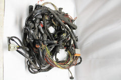 Main Wiring Harness 69200300 Harley Davidson