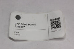 CAP SEAL PLATE 5246387  2007 Victory Vegas 8 Ball