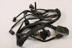 E.F.I EFI Wiring Harness 70233-02 Harley Davidson