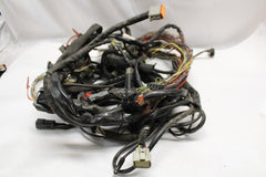 Main Wiring Harness 69200300 Harley Davidson